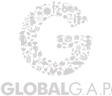 logo global cap wit