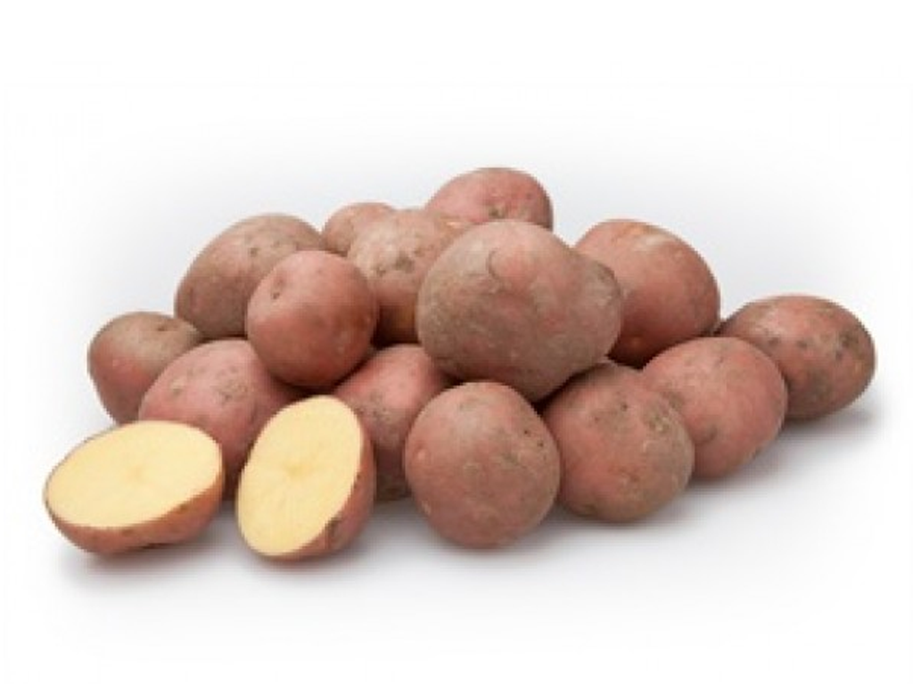 Landbouwbedrijf van Marion – Eigen teelt gesorteerde Aardappelen & Uien – BILDSTAR Landbouwbedrijf van Marion - Eigen teelt gesorteerde Aardappelen & Uien - BILDSTAR