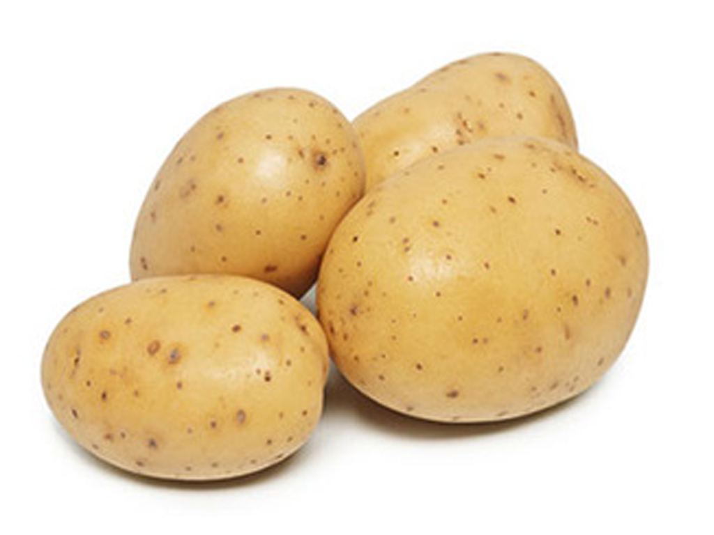 Landbouwbedrijf van Marion – Eigen teelt gesorteerde Aardappelen & Uien – BINTJES Landbouwbedrijf van Marion - Eigen teelt gesorteerde Aardappelen & Uien - BINTJES