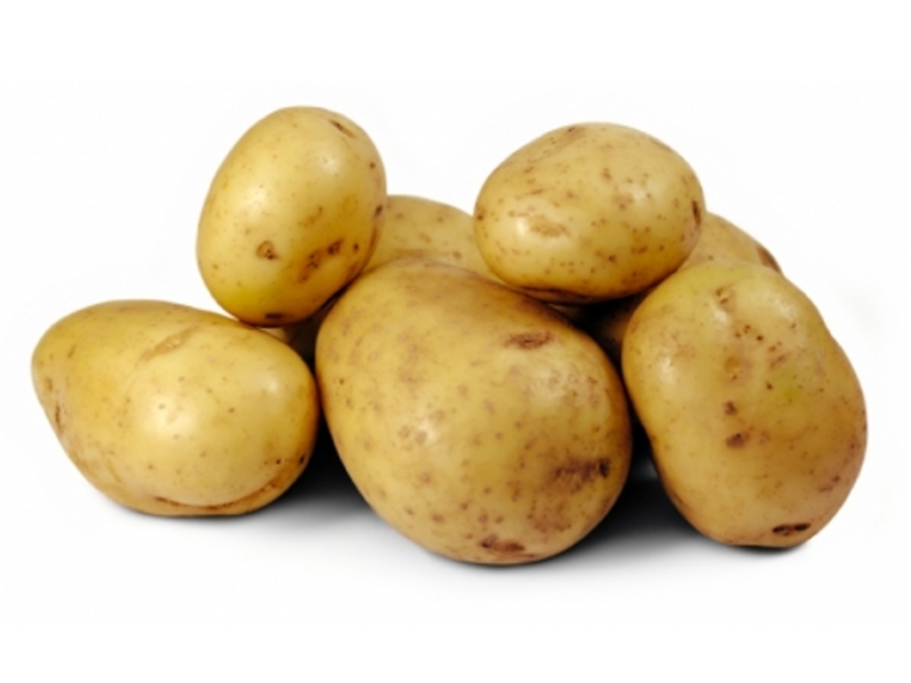 Landbouwbedrijf van Marion – Eigen teelt gesorteerde Aardappelen & Uien – NICOLAS Landbouwbedrijf van Marion - Eigen teelt gesorteerde Aardappelen & Uien - NICOLAS